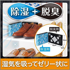 ST Ai Shi Ting Deodorant Box for Shoe Cabinets 1pc 1 each