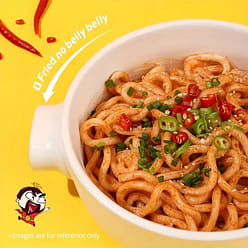 Fresh Udon Turkey flavor instant noodles 225g*12 boxes 2700 g