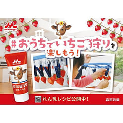 Morinaga Hokkaido Condensed Milk 120g 1 each