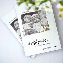 胖东来书籍走在信仰的路上中文版（2册） 1 个