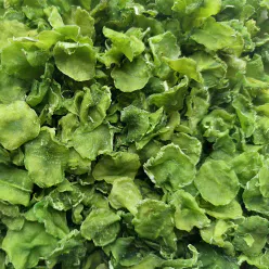 80 grams of dried lettuce *1 bag 80 g