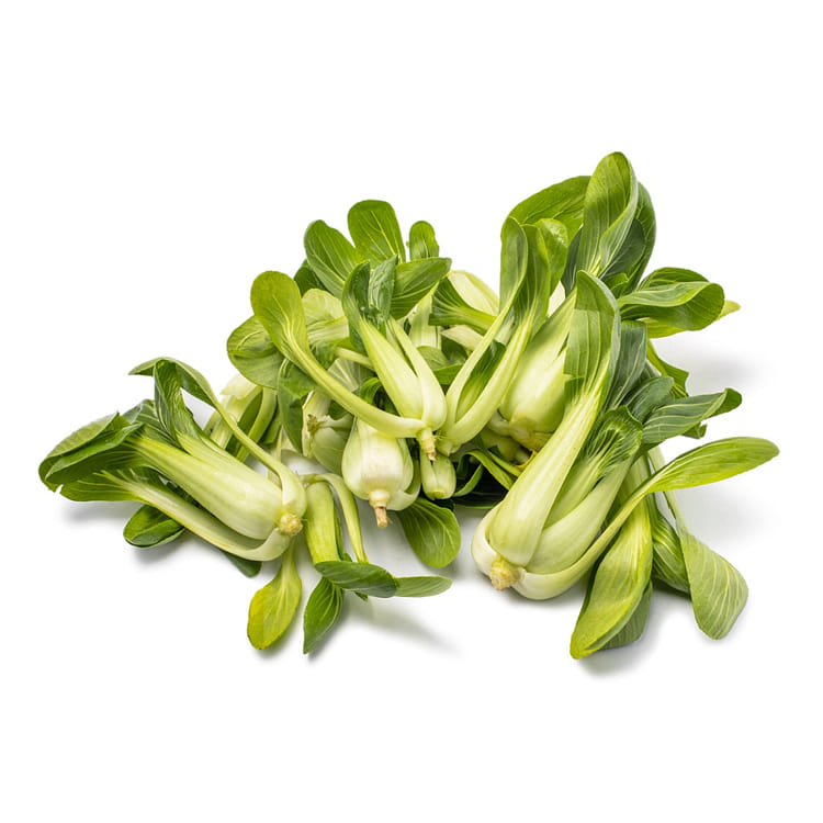 上海青青江苗雞毛菜1 磅- Weee!