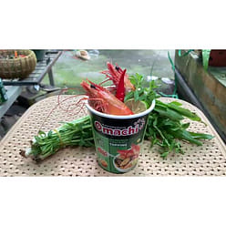 [Omachi] Thai Tom Yum Noodles box 30 packs 2.72 oz