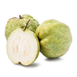 플로리다 구아바 2.8-3.2 파운드