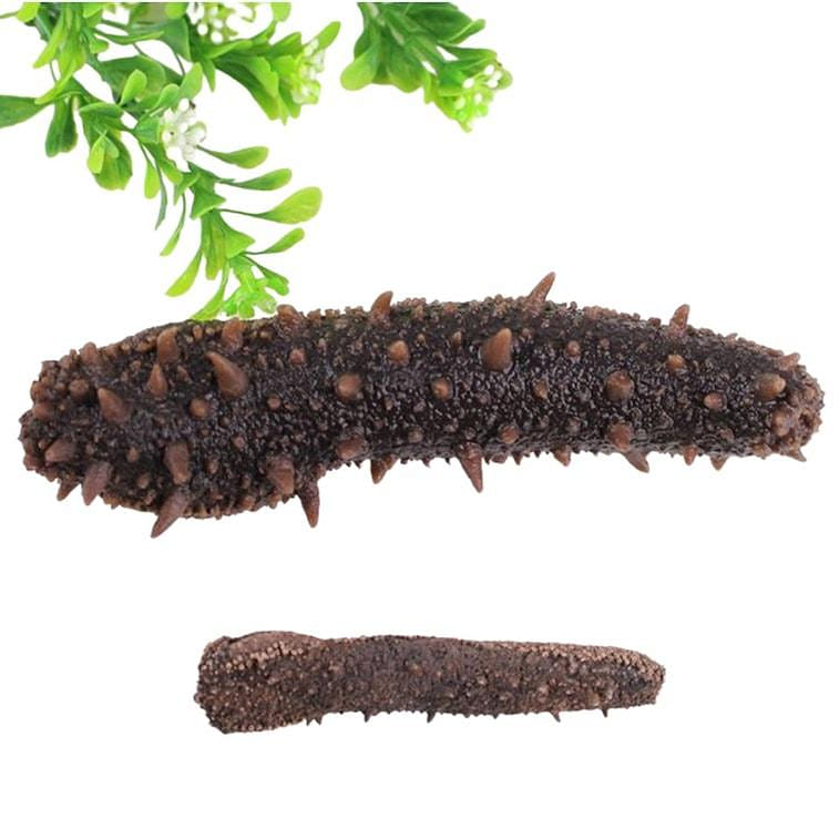 Alaska Dry Sea Cucumber 200g 1 개