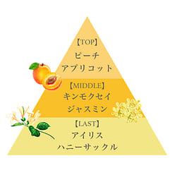 FERNANDA 金木犀桂花限定 沐浴露 358 克