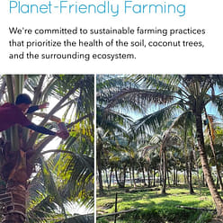 Rain Organic fruit and vegetable wash (concentrate) 19.6 fl.oz 19.6 fl.oz