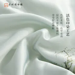 Suzhou Mus. "Misty Mountains" Silk Quilt 1 pack