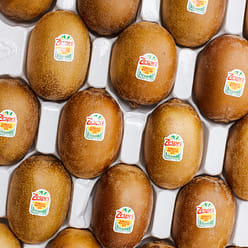 Zespri SunGold Kiwi Gift Box 7 lb