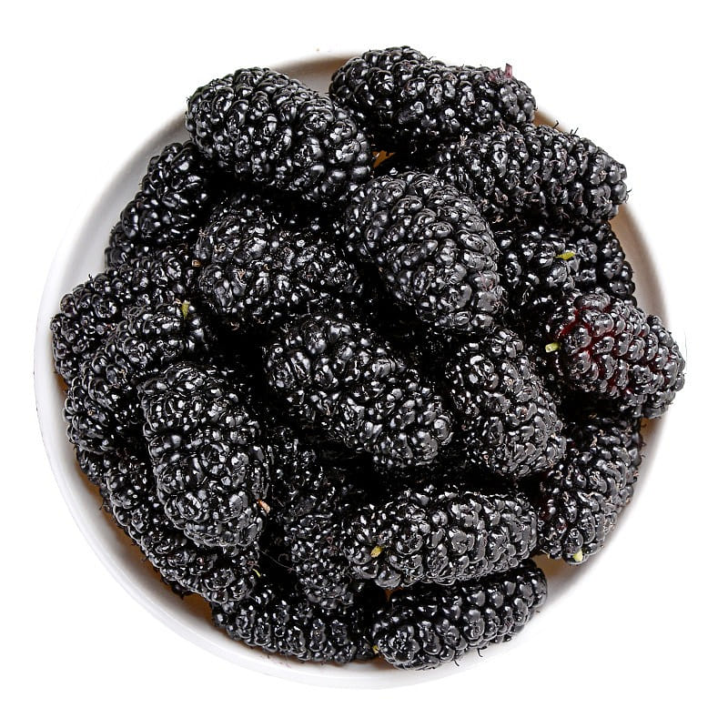 Xinjiang special no-wash black mulberries 100g 100 グラム