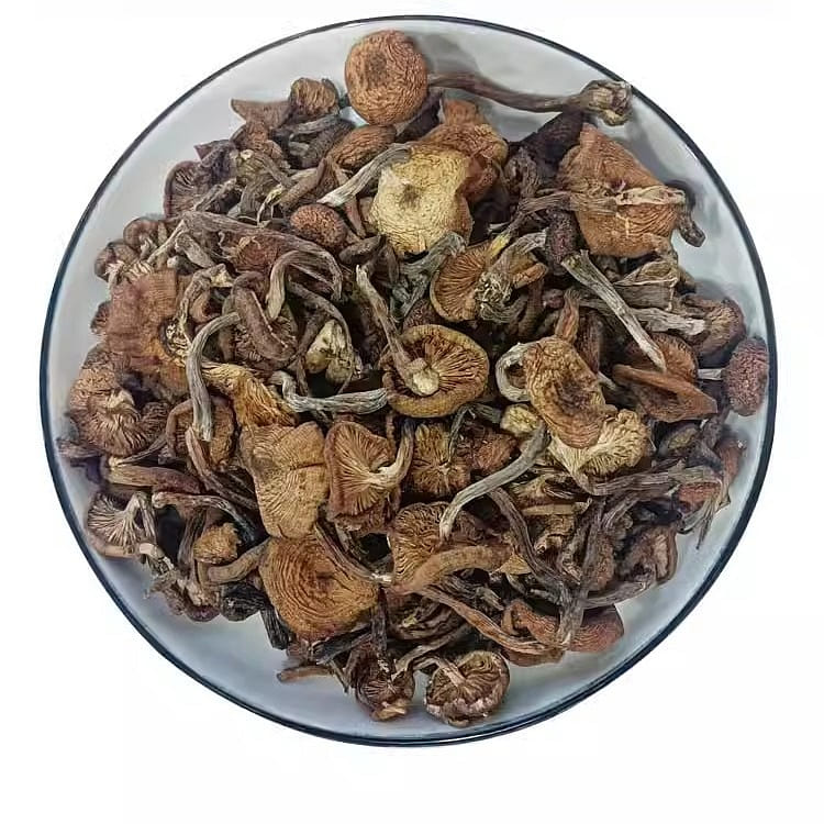 Wild Hazelnut Mushroom Mushroom 250g Changbaishan Zhen Mushroom Diced/ 250 그램