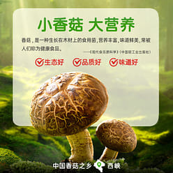 Zhongjing Spicy Shiitake Mushroom Sauce 230g*2, for Rice, Noodles, and Stir-frie 460 g
