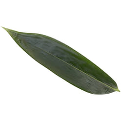 Seasonal Fragrance Fresh Rice Dumpling Leaves 50pcs 1 each