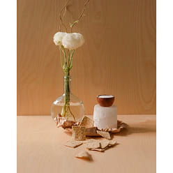 Salt n Vinegar  Pulp Chips | 12-Pack (12, 5oz) 5 oz