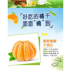 Dried tangerines, 45g*1 bag 45 g