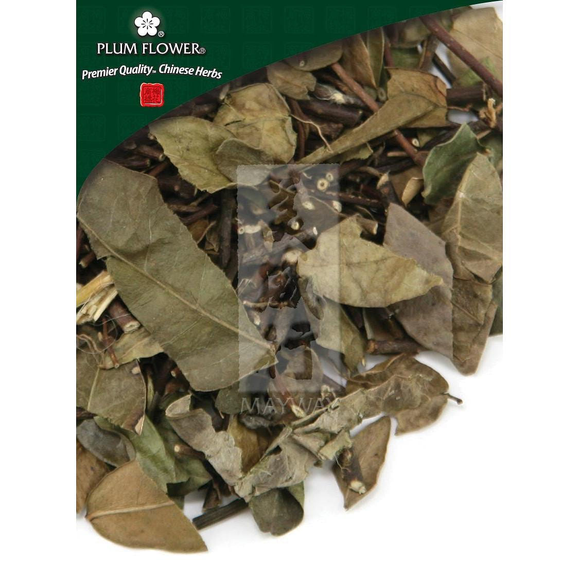 Luo Shi Teng, unsulfured Trachelospermum jasminoides stem 1 each