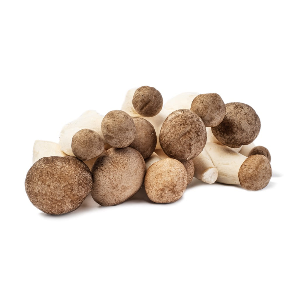 Organic Conah Mini Oysters Mushrooms 200 g