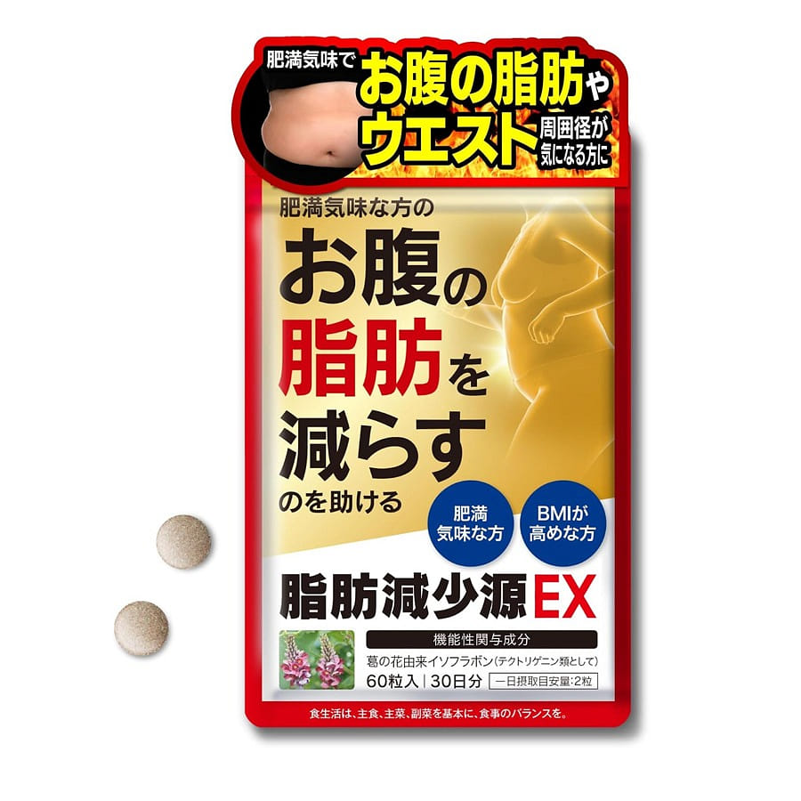 ハーブ健康本舗 脂肪減少源 EX 60粒入（30日分） 1 パック