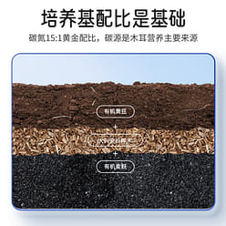 Greater Hinggan Ling Shiitake 250g*1 pack 200 g