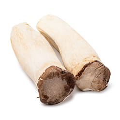 King Oyster Mushrooms 1 lb