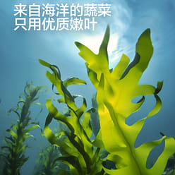 Children's wakame 30g * 2 boxes 60 g