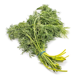 Baby Dill 1 bunch