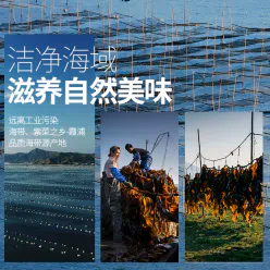 Compressed kelp shreds 270 g