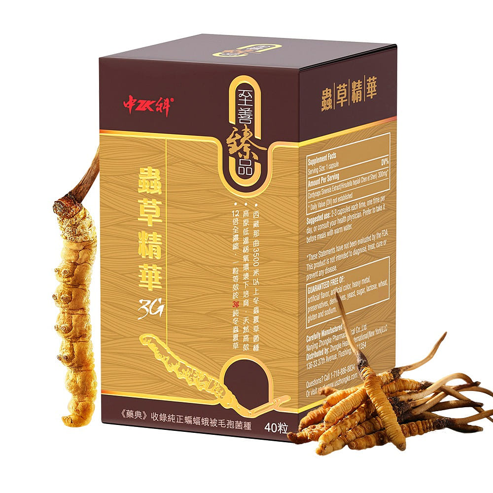 Sino-Sci Cordyceps 3G Capsule - Energy Booster 1 bottle