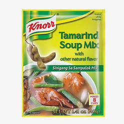 [Knorr] Tamarind Flavor Seasoning Powder 40g 1 count