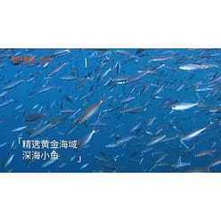 Jinzai Deep Sea Fish Dried Snack 12g Sichuan Flavor 1 each