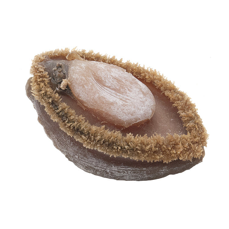 On Kee South Africa Dried Abalone (0.5catty 3-4pc) 300 그램