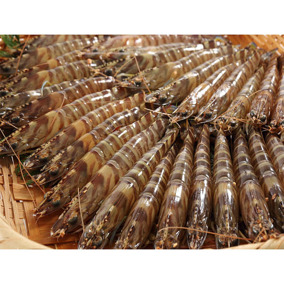 weee_seafood_Kuruma Ebi 6 PC 1 each