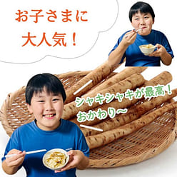 Fuji Foods Burdock Mixed Rice 128g 1 each