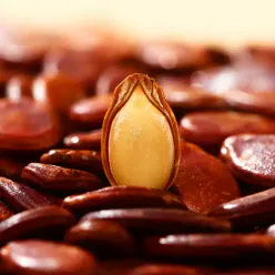 five-spiced red-skinned watermelon seeds large 428 g