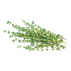 Thyme 1 each