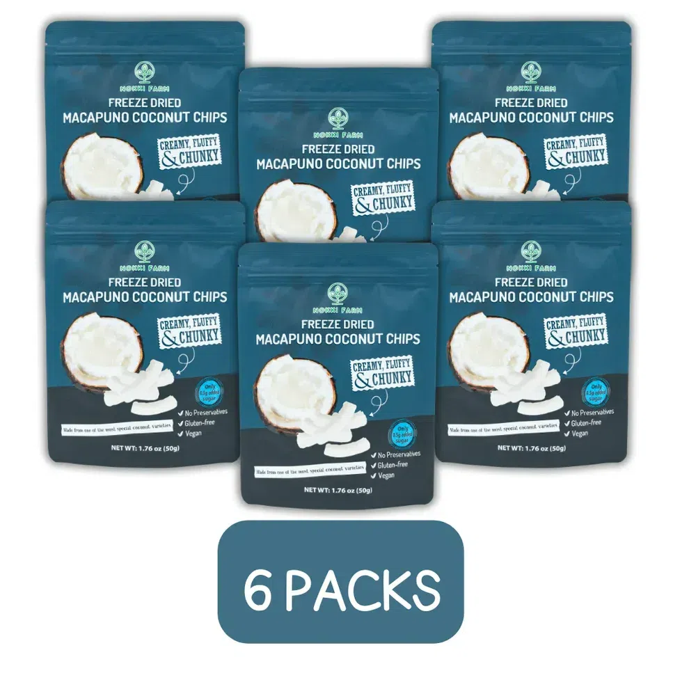 (Pack of 6) Freeze-dried Macapuno Coconut Chips 300 g