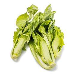 Small Gai Choy 1.95-2.05 lb