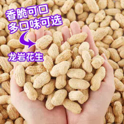 Wonderful Longyan Peanuts with Shell Five Perfume Boiled Peanuts Dried Garlic Peanuts 500g*1 500 g