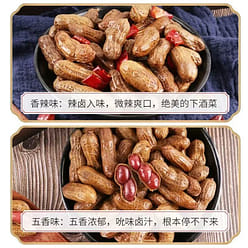 Braised Peanut with Shell Flavor and Spicy Flavor 500 g
