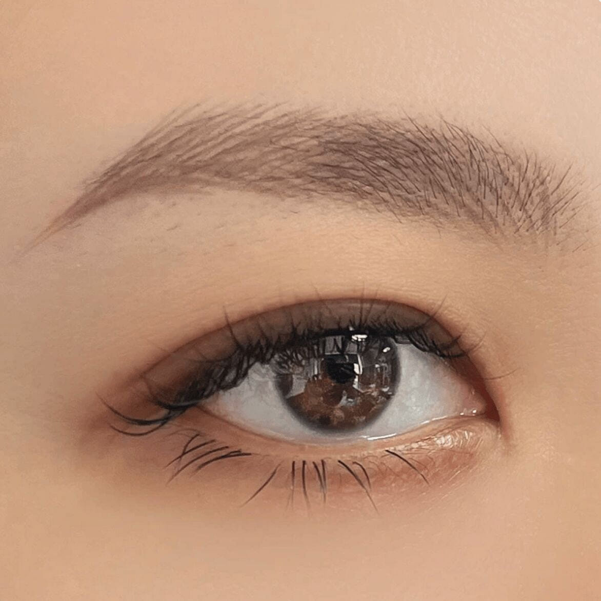 SHESSTILL Hard Square Brow Pensil 07 Ash Brown 4 g