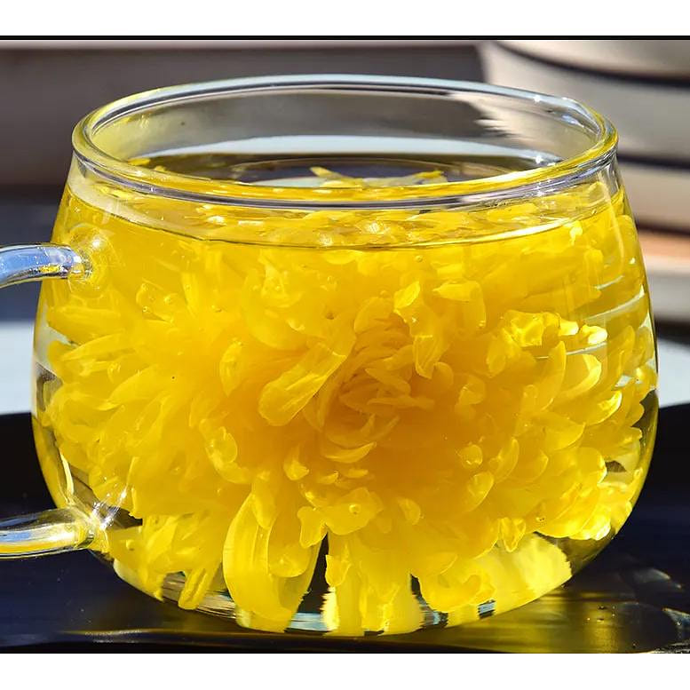 Jin Si Huang Ju Golden-yellow Chrysanthemum 20pc 20 カウント
