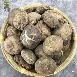 Northeast Shanzhen Series - Tianjin organic Mushroom 200g 200 g