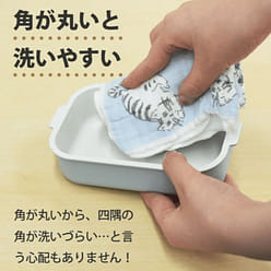 Japan Chaco Bento Box - Beige 1 each