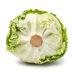 Iceberg Cello Lettuce 1 count