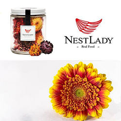 NESTLADY 피로 완화, 풍열 해독, 칠색菊花茶 1 개입