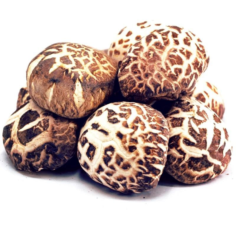 XLSEAFOOD Premium A+ Mushroom China Shiitake 454g 16oz 16 oz