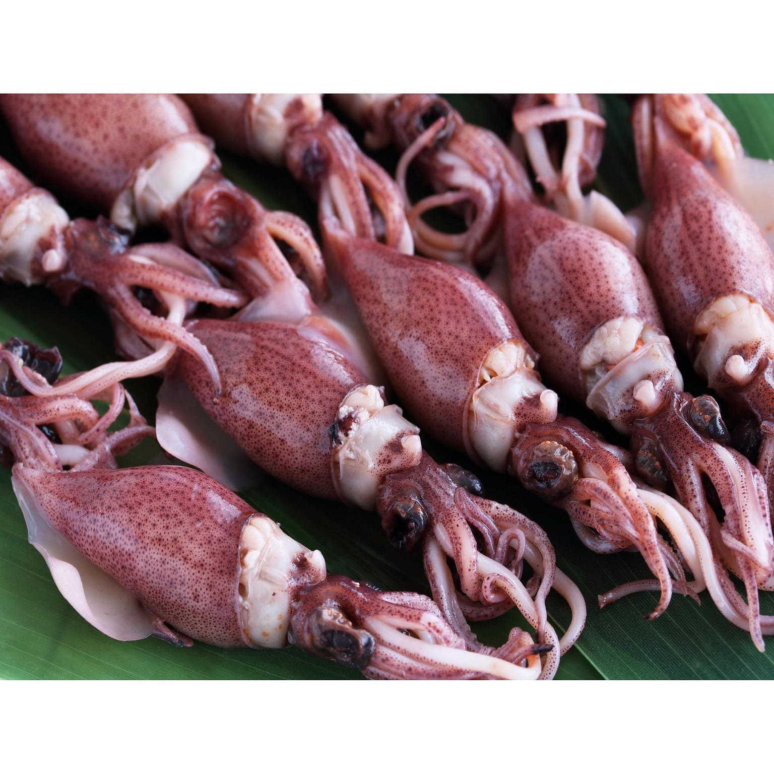Frozen Hotaru Ika (Firefly Squid) 200 그램