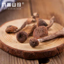 Organic Wild Hazel Mushroom Jiuxin Mountain Treasure Northeast Specialty Hazel Mushroom Ding Farmhouse Goods Chicken Stewed Mushroom Dry Goods High Quality 200g * 1 Bag 200 g