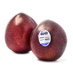 Black Plum 2 lb