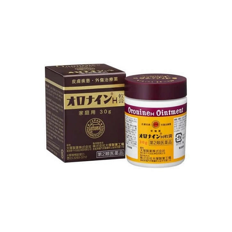 Otsuka Oronine H Ointment 100g 1 개